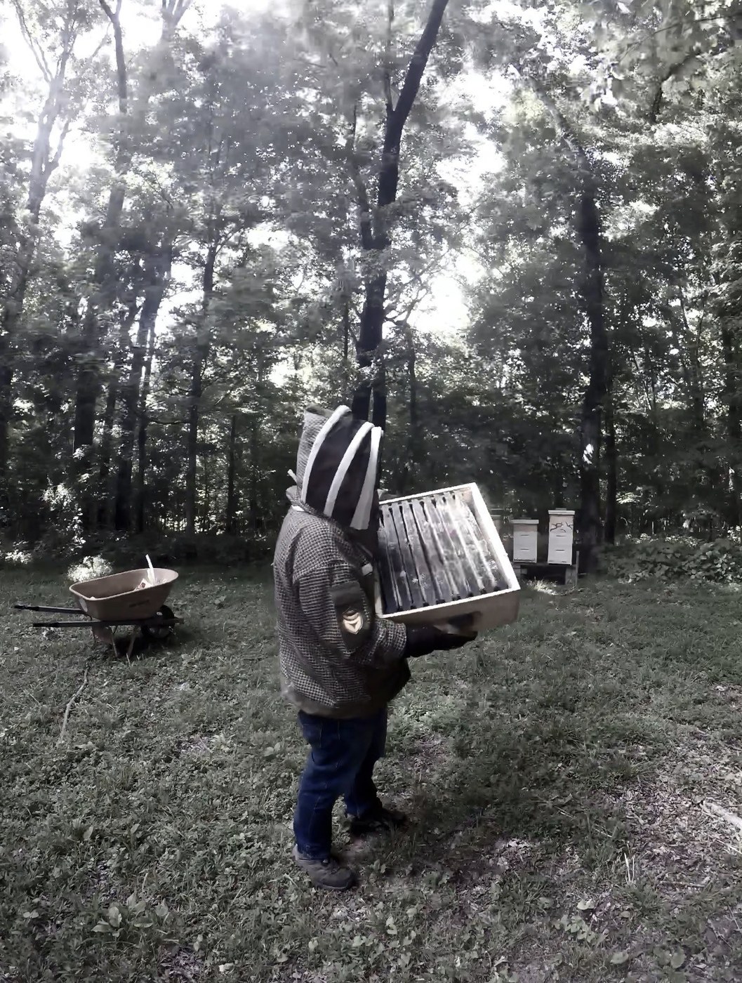 Meet the Beekeeper