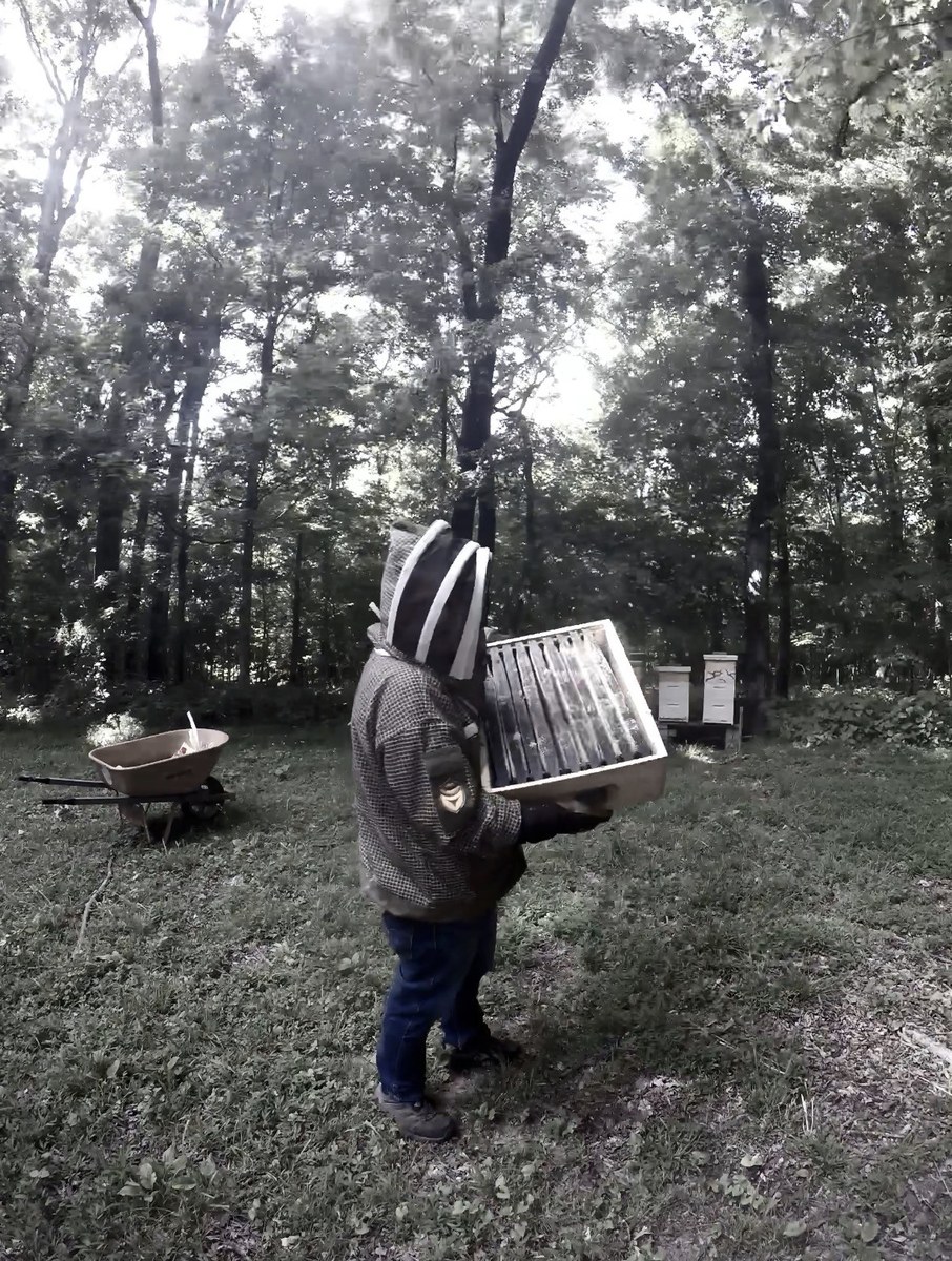 bee suit